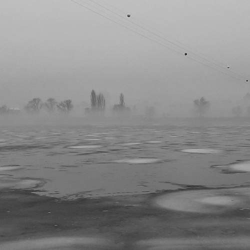 Photo #11934052