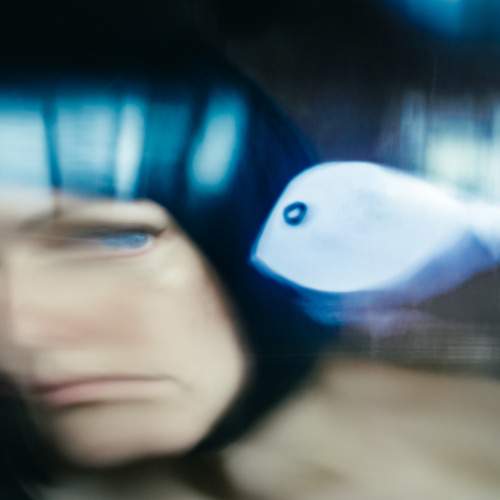 Photo #11934077