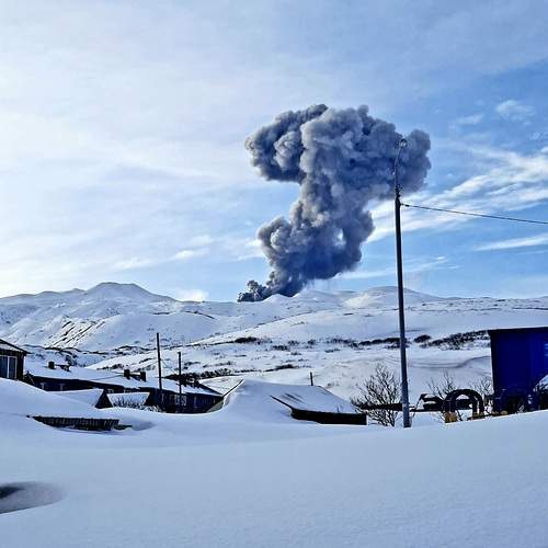 Photo #11934146