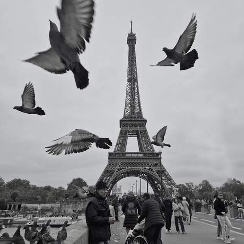 Photo #11934308