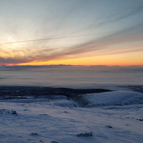 Photo #11934317