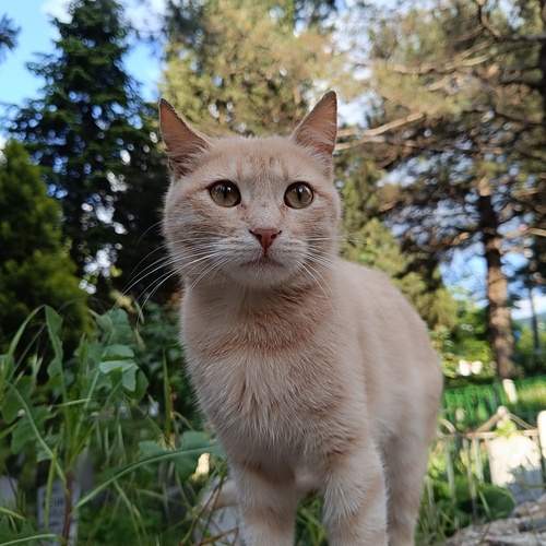 Photo #11934337