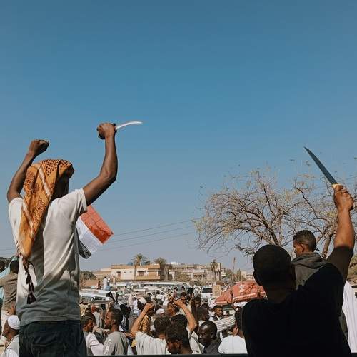 Photo #11934449