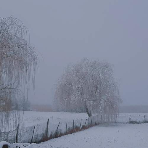 Photo #11934636