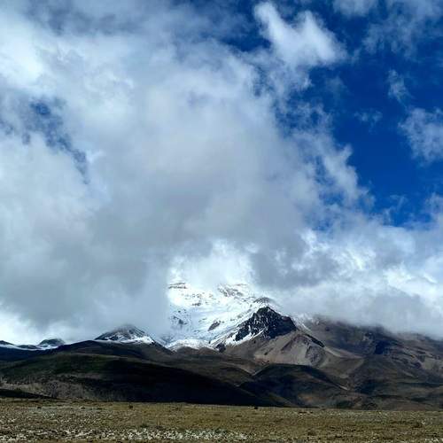 Photo #11934640