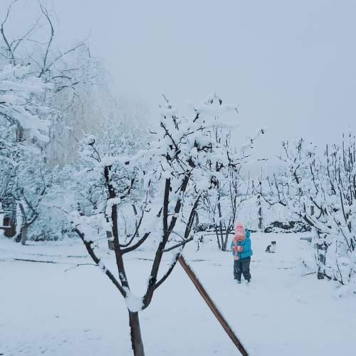 Photo #11934680