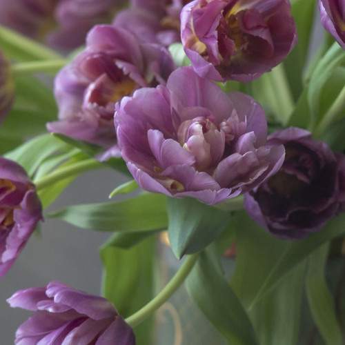Photo #11934720