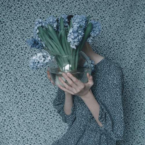 Photo #11934726