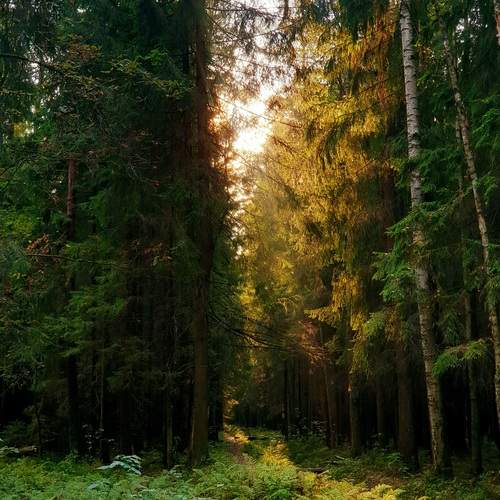 Photo #11934738