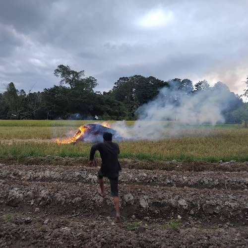 Pursuing Forgotton Bird Trap