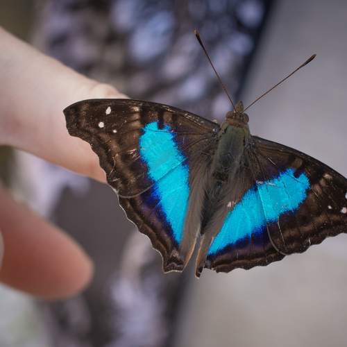 Photo #11934909