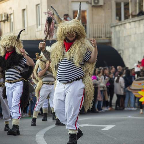 Photo #11935050
