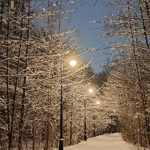 Photo #11935060