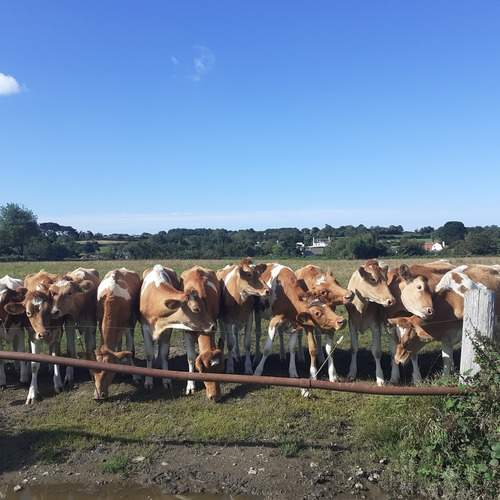 Photo #11935183
