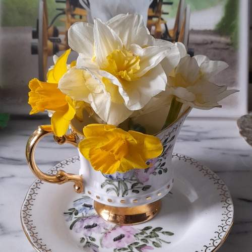 Still life