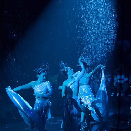 Photo #11935338