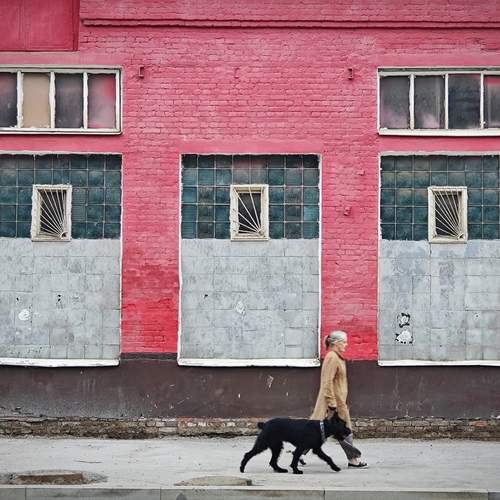 Photo #11935344