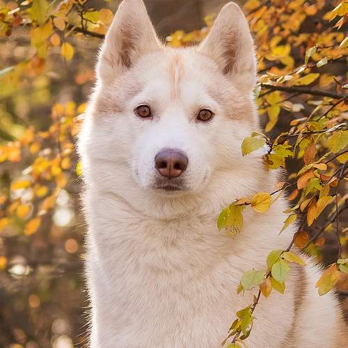 Photo #11935367