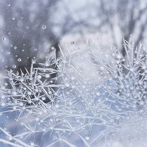Photo #11935547