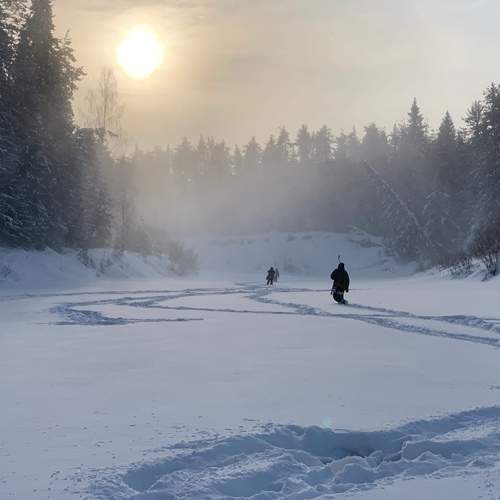Photo #11935571