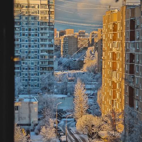 Photo #11935585