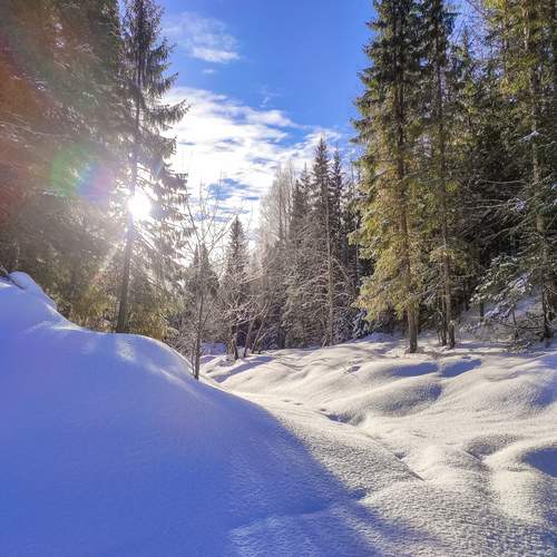 Photo #11935601