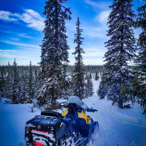Photo #11935624