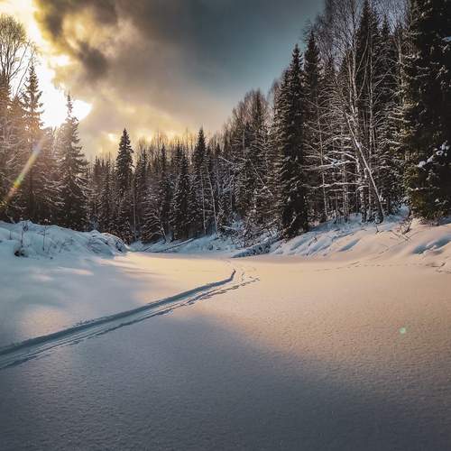 Photo #11935653