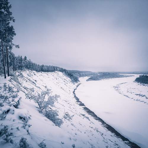 Photo #11935654