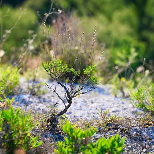 Photo #11935743