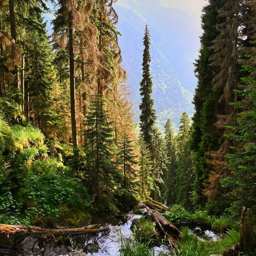 Photo #11935745