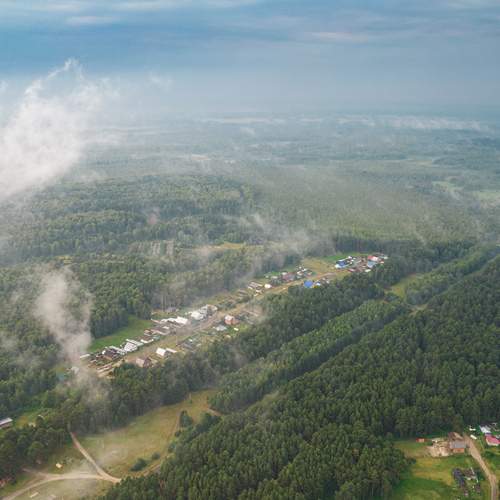 Photo #11935782