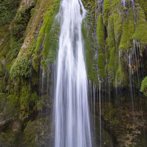 Photo #11935852