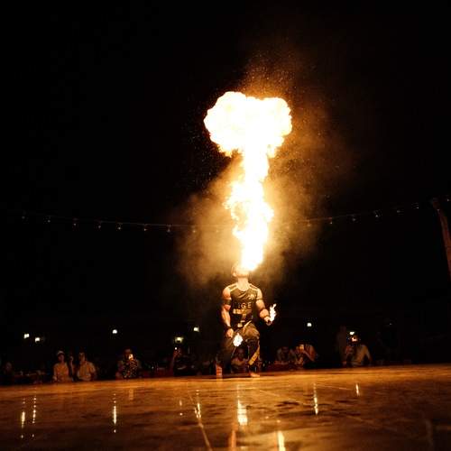 Photo #11935898