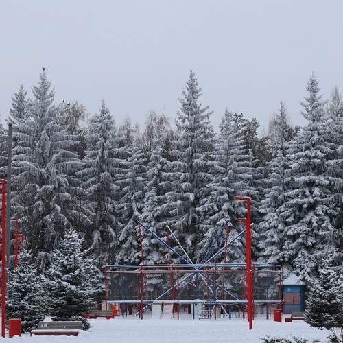 Фотография #11936059