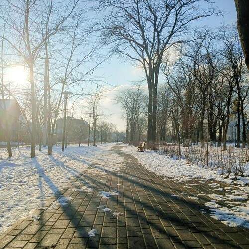 Photo #11936061