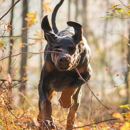 Photo #11936537