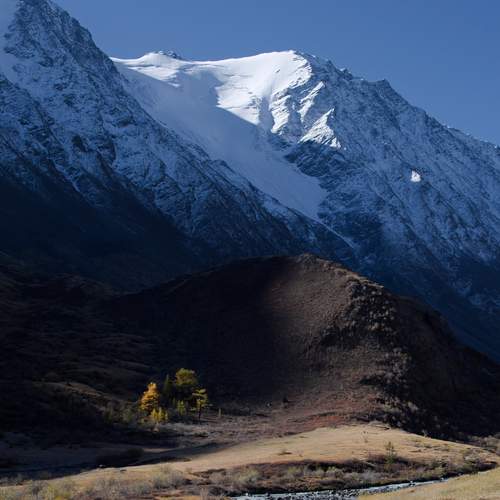 Фотография #11936703