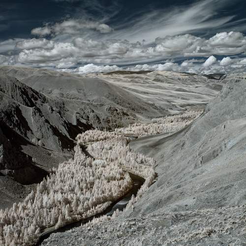 Фотография #11936757