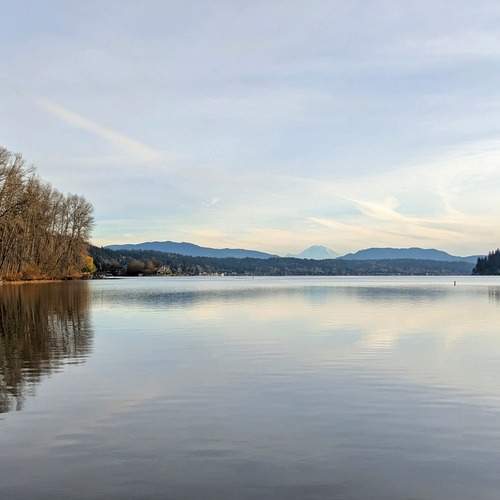 Photo #11936946