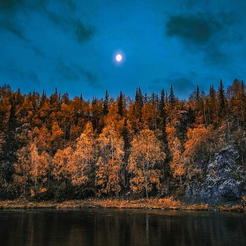 Photo #11936979