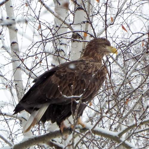 Photo #11937072