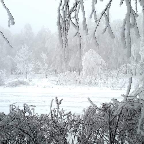 Photo #11937202