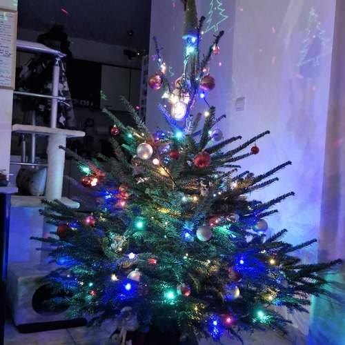 Photo #11937212