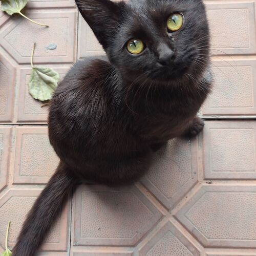 Photo #11937574