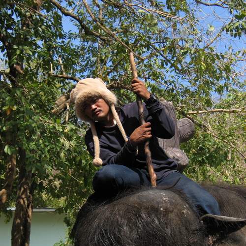 Photo #11937617