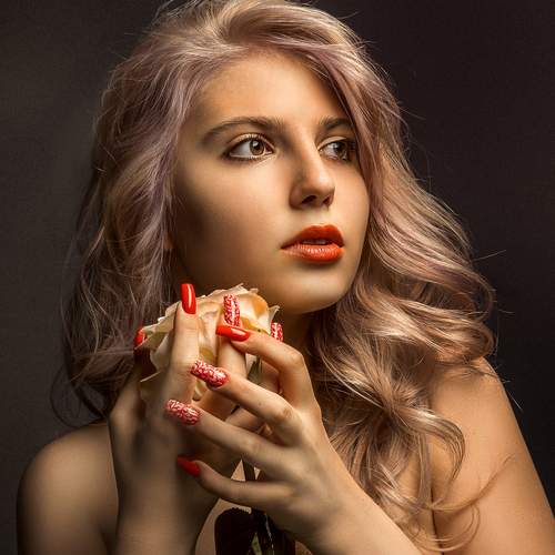 Photo #11937721