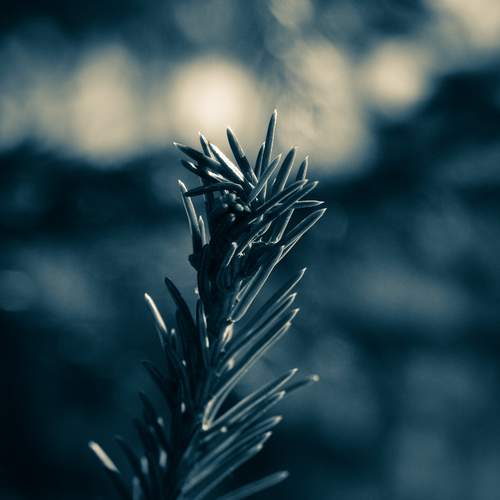 Photo #11937737