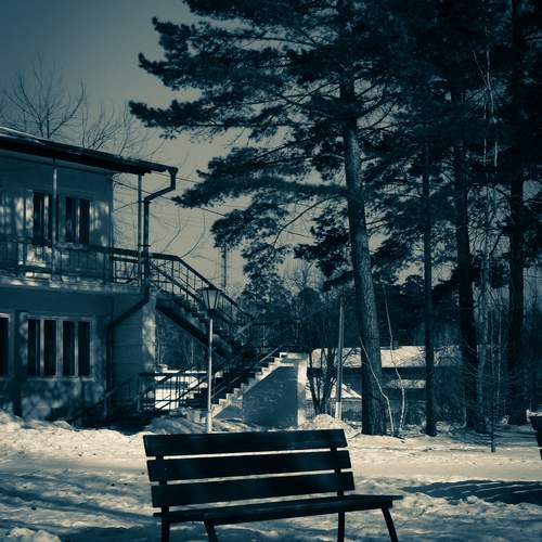 Photo #11937844