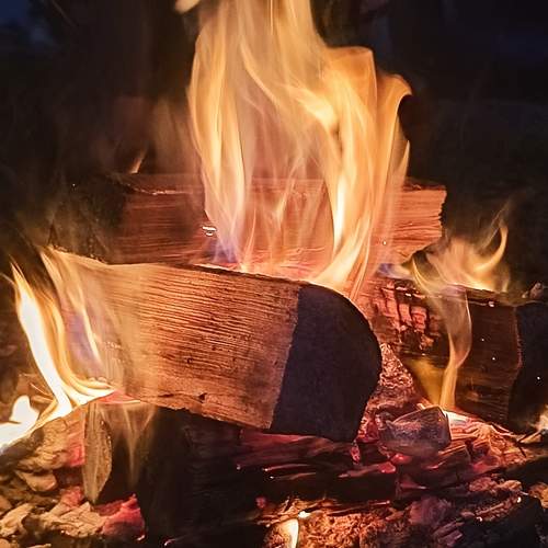 Photo #11938099